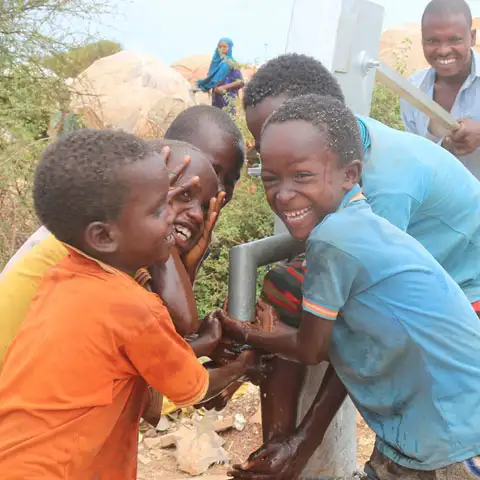 water-grid Water-Box